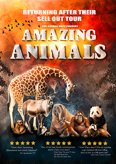 Animal Guys Oct 2025 Image