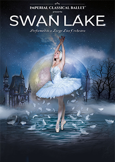 Swan Lake Nov 2024 Image