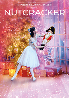 Nutcracker Nov 2025 Image